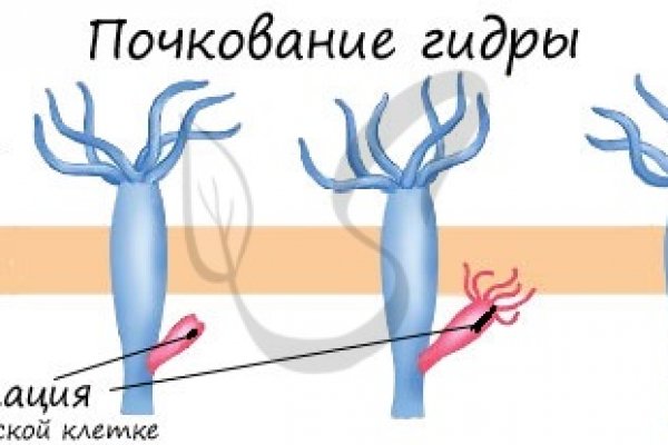 Кракен даркмаркет плейс официальный сайт